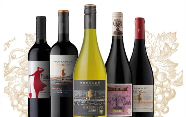 Wine Concept anuncia chegada da Viña Morandé ao seu portfólio